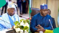 Major political party dares Tinubu, Defence minister to step out without escorts, "Pain of daily killings"