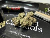 North Carolina policymakers look ahead to regulate cannabis