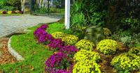 A beginners guide to fall planting and gardening