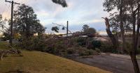 Wild weekend storms cut power to homes across Blue Mountains