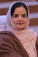 Beyond the triangular alliance: Rethinking collective security in the Muslim World