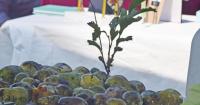 Celebrate Virginia's native fruit at the 4th Annual Pawpaw Festival