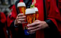 More than a drink: Belgium’s bee weekend kicks off massive UNESCO anniversary celebration