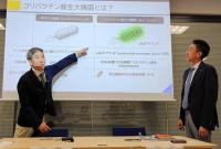 Many colorectal cancer cases in Japan caused by bacterial toxin