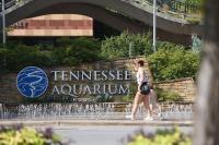 Tourism generates nearly $1.9B in Hamilton County in 2025