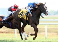 Caroline St. Beat Another Big-Race Winner For Tiz the Law in Nashville Derby