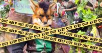 Maryland Renaissance Festival Bans Furries, the Creepy Community Responds by Calling Dress Code ‘Discrimination’