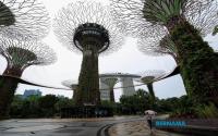 Top News Headlines In Indonesia, Myanmar, Philippines: Singapore & Vietnam : Sept 6, 2026