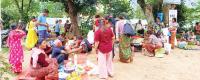 Madhyanepal market trades ferns to buttermilk
