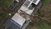 Thousands still without power after wild winds ravage Sydney