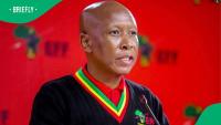 “Dodgy people”: Old photo of Julius Malema with his cousin Mpho gets South Africa talking
