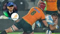 Wallabies player ratings v Argentina: ‘Busy back row’ the standout in a draw hampered by ‘baby steps’ attack