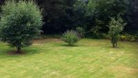 Welsh gardeners urged to move common item off lawns if grass is yellow and brown