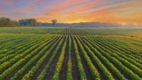 Pennsylvania Farmer Turns Down Nearly $16 Million Offer From Data Center Developers