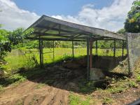 The predicament in Plum Mitan: Residents say closure of farm led to job losses, community challenges