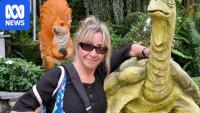 Vietnam wants to grow dental tourism, which has Australian dentists worried
