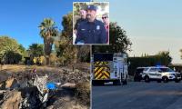 Two children killed and two adults critically injured in California plane crash