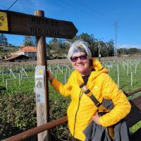 FBN Writer Stacey Wittig Earns Amazon Top New Release Recognition for Camino Book