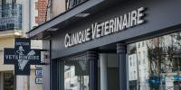 Choosing a vet in France: a British vet’s experience with pet care