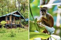 National Geographic Germany Devotes 11 Pages to Costa Rica