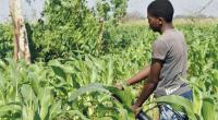 Malawi faces K324.8bn gapin El Niño preparedness