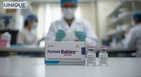 Abhayrab Rabies Vaccine Under Scanner After Potency Failure: From Adulterated Spices To Repackaged Goods, What Exactly Are Consumers Buying In India’s Expanding Grey Market?
