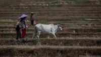 How climate change and food insecurity could fuel future conflicts