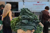 Summer of recalls exposes holes in nation’s food safety net