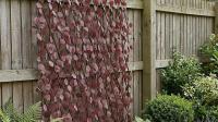 Gardeners hail £24 solution to 'improve garden privacy without blocking views'