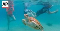 Oceans hit record temperatures due to climate change and El Nino