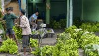 The banana opportunity: Why India wants foreign investment in a sector it already dominates