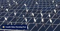 Study that argued China’s solar policy hurt birds may have miscounted 2 billion egrets