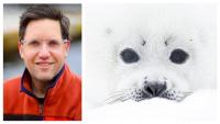 Picture perfect: N.L. photographer named Canadian wildlife photographer of the Year