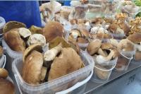 Mushroom season has begun at Komarovka in Minsk. How much do porcini and chanterelles cost?