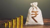 RPG Life Sciences to deploy ₹500 cr for manufacturing, API expansion