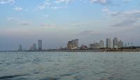 China tests bamboo-based floating solar platform in offshore durability trial