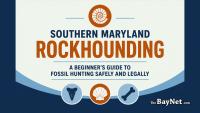 Southern Maryland Rockhounding: A Beginner’s Guide To Fossil Hunting Safely And Legally