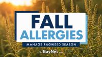 Maryland Fall Allergies: How To Manage Ragweed Season At Home And Outdoors