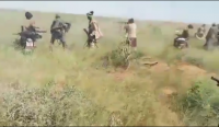 Blood In The Gourma: Isis-Sahel Claims Mass Jnim Casualties ...