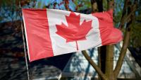 Canadian citizenship certificate wait jumps to 33 months from 12 months as 136,000 applications remain pending: Here's what applicants need to know