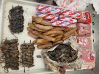 US authorities seize dead mice, beef from Malawi traveler at Chicago airport