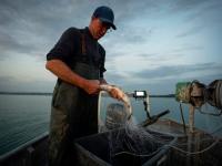 Swiss fishermen and women launch ‘wild fish’ label
