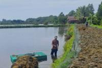 Australian biotech company partners with Indonesia on seaweed supply