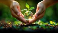 Youth Report Calls for Lower Taxes on Green Technologies