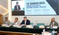 Salahuddin urges global pressure to resolve Rohingya crisis