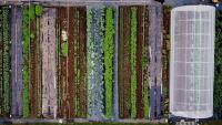 $2M award to be used to develop artificial intelligence tools to protect food production systems