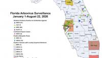 Alachua County is under mosquito-borne illness advisory