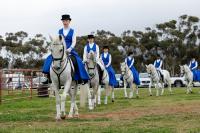World-Class Entertainment and Horsemanship Set for Nampo Cape 2026