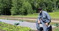How one small Concord farm is meeting high demand for local greens