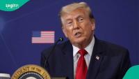 US Green Card Lottery: See full list of African countries selected for 2026 Diversity Visa Programme
